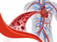 Angiología y cirugía vascular